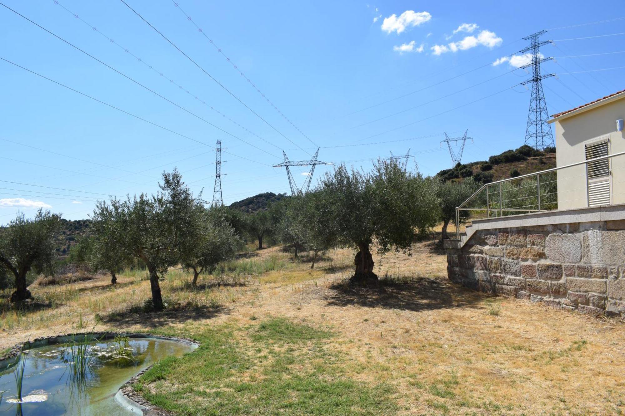 Douro Natura Bemposta  Ngoại thất bức ảnh
